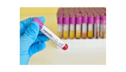 Legionella Νόσος Λεγεωνάριων