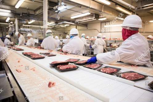 Haccp , ISO 22000 , Κανόνες υγιεινής